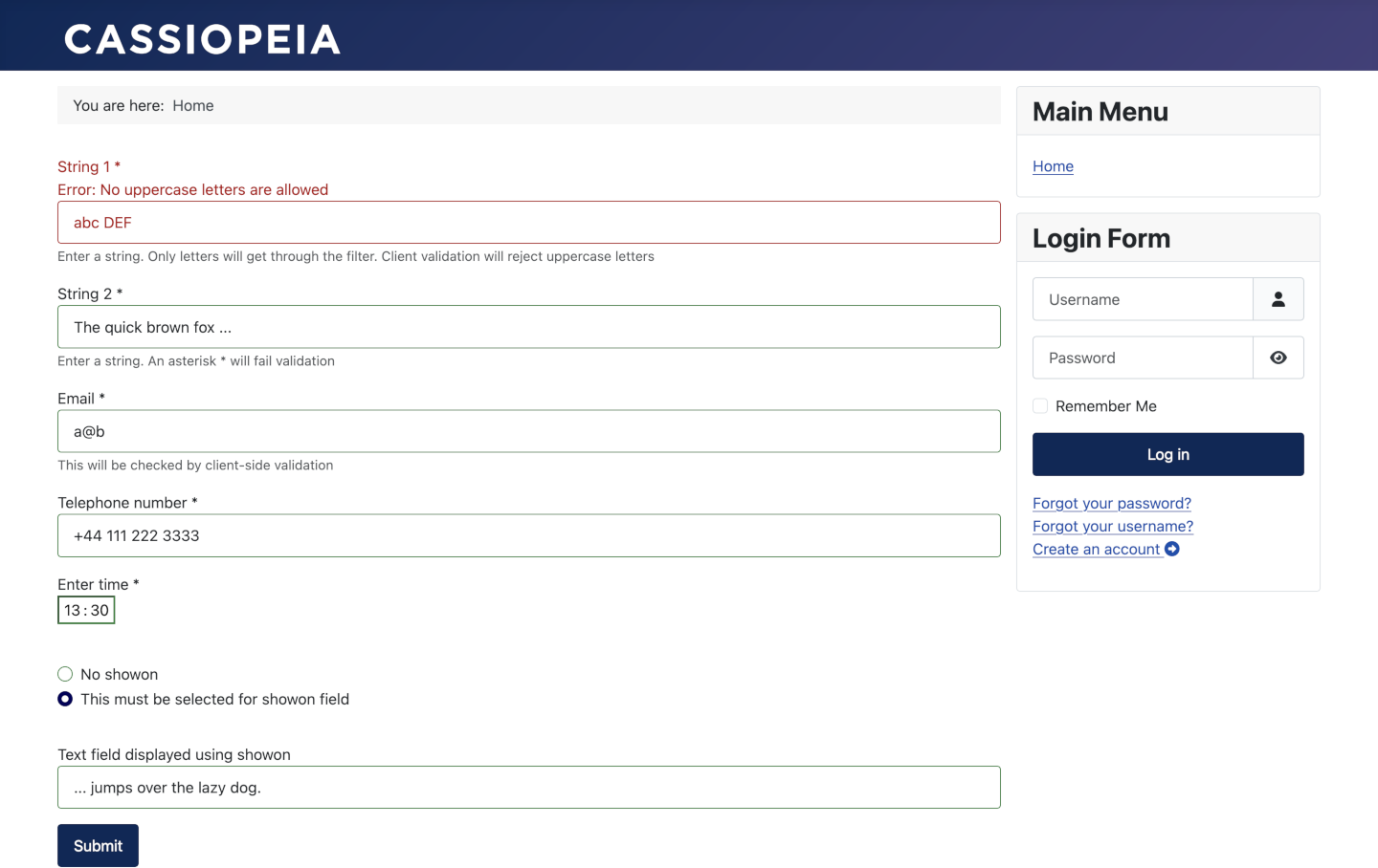 example form with added data