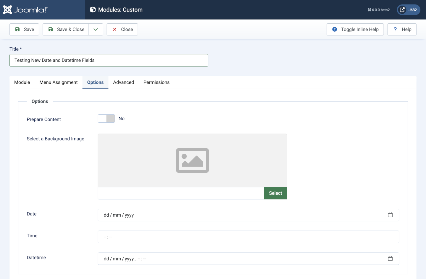 Example form containing a date field